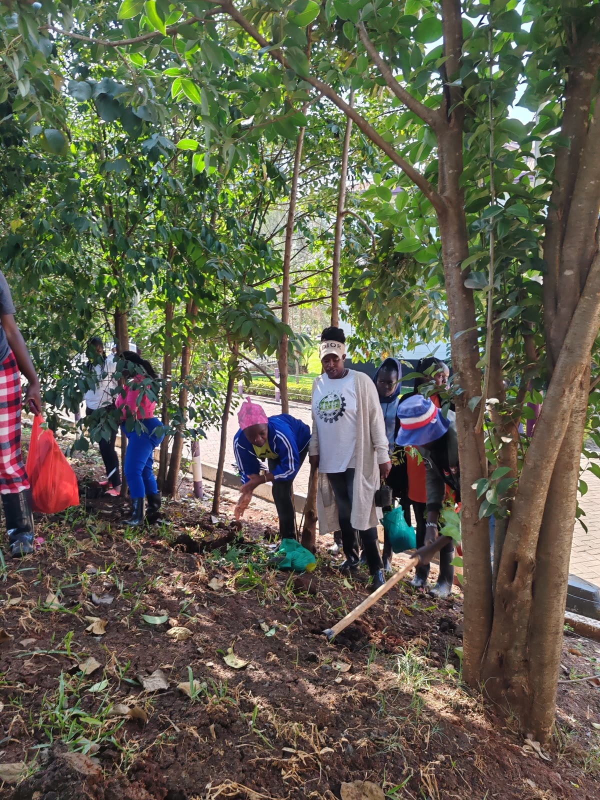 G-MSF and Climate Works Riruta Champion Environmental Conservation Through Tree Planting - July 17, 2026