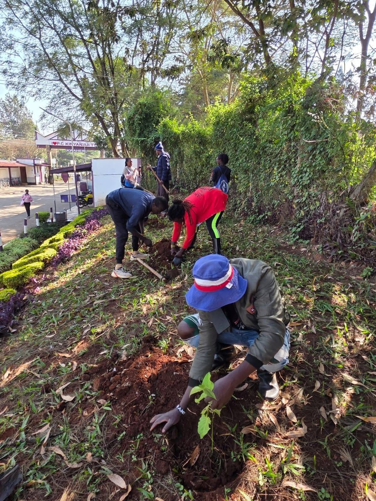 Nurturing Trees, Growing a Greener Future - July 23, 2026