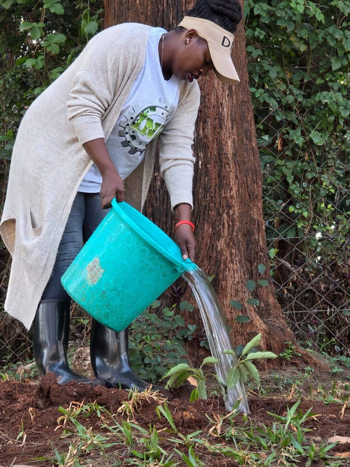 Nurturing Trees, Growing a Greener Future - July 23, 2026