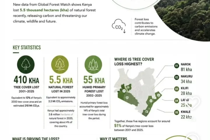 🌳 KENYA IS LOSING ITS TREES — AND WE CANNOT LOOK AWAY. 🇰🇪