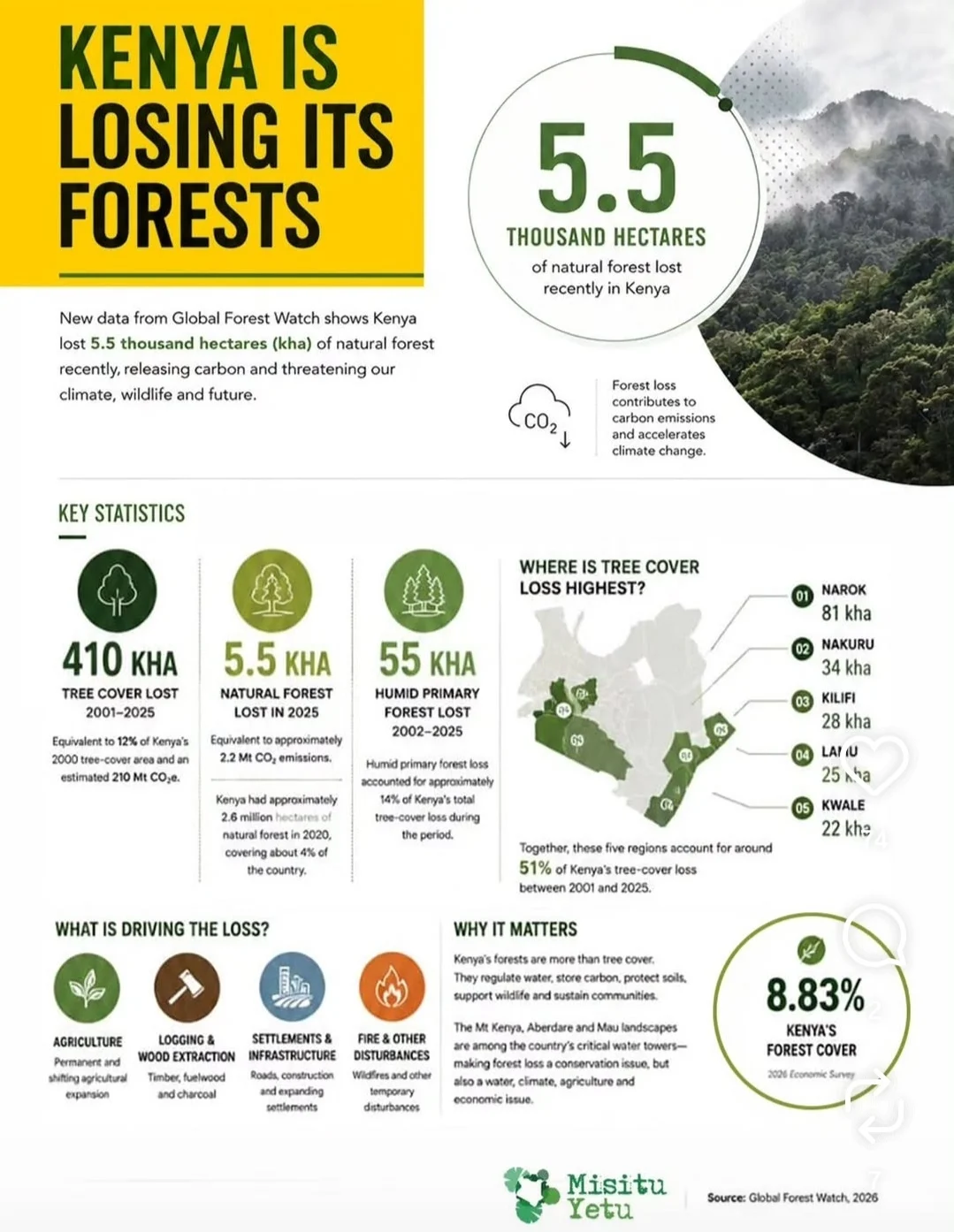 🌳 KENYA IS LOSING ITS TREES — AND WE CANNOT LOOK AWAY. 🇰🇪