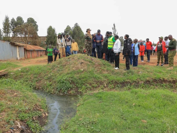 Clean-up Tree Planting, and Clearing of Drainage ahead of El Niño- Dagoretti – Photo 12