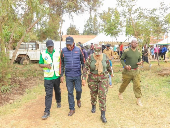 Clean-up Tree Planting, and Clearing of Drainage ahead of El Niño- Dagoretti – Photo 14