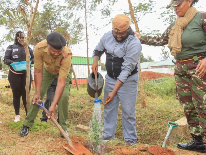 Clean-up Tree Planting, and Clearing of Drainage ahead of El Niño- Dagoretti – Photo 23