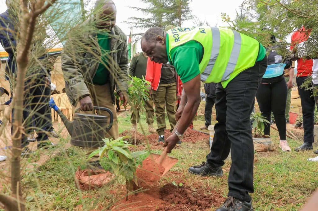 Clean-up Tree Planting, and Clearing of Drainage ahead of El Niño- Dagoretti – Photo 26