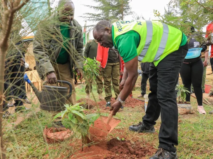 Clean-up Tree Planting, and Clearing of Drainage ahead of El Niño- Dagoretti – Photo 26