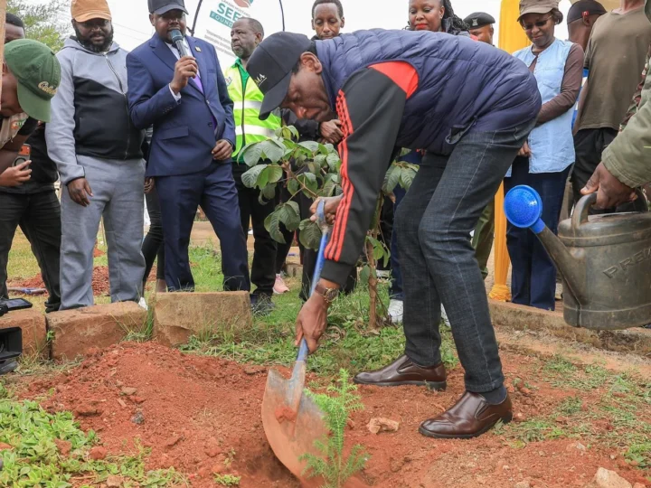 Clean-up Tree Planting, and Clearing of Drainage ahead of El Niño- Dagoretti – Photo 28