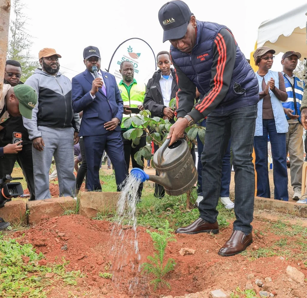 Clean-up Tree Planting, and Clearing of Drainage ahead of El Niño- Dagoretti – Photo 29