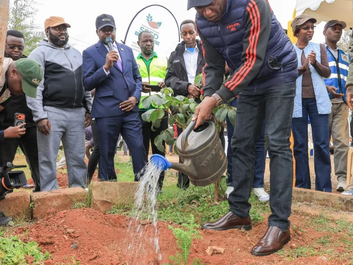 Clean-up Tree Planting, and Clearing of Drainage ahead of El Niño- Dagoretti – Photo 29