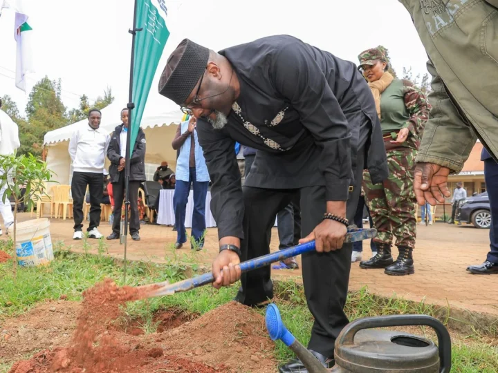 Clean-up Tree Planting, and Clearing of Drainage ahead of El Niño- Dagoretti – Photo 30