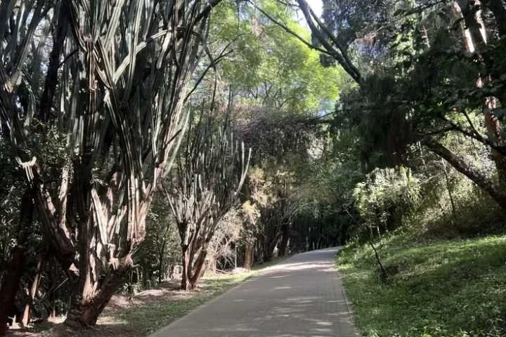 A Greener City