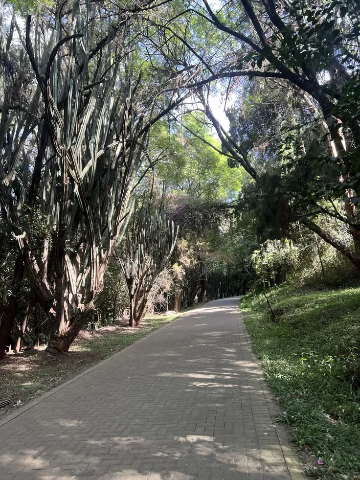 A Greener City
