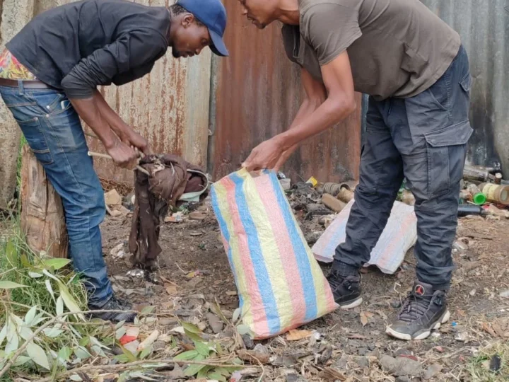 World Cleanup Day 2026: From Clean Plates to Clean Cities