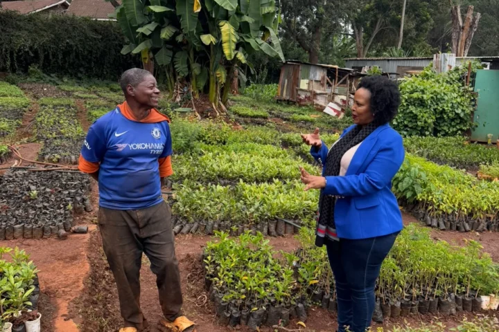 500 Assorted Fruit Trees to G-MSF