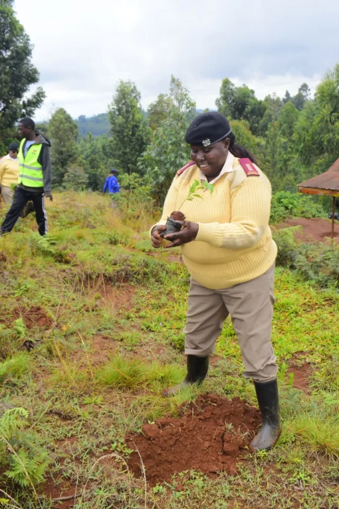 “Until you dig a hole, you plant a tree, you water it and make it survive, you haven’t done a thing. You are just talking.”- Prof. Wangari Maathai