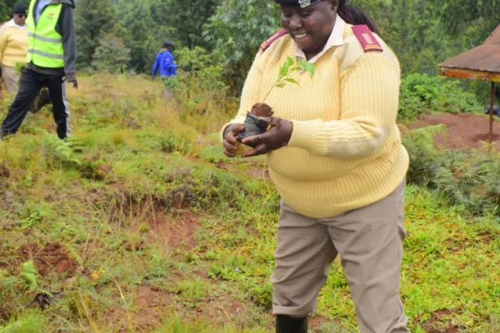 “Until you dig a hole, you plant a tree, you water it and make it survive, you haven’t done a thing. You are just talking.”- Prof. Wangari Maathai