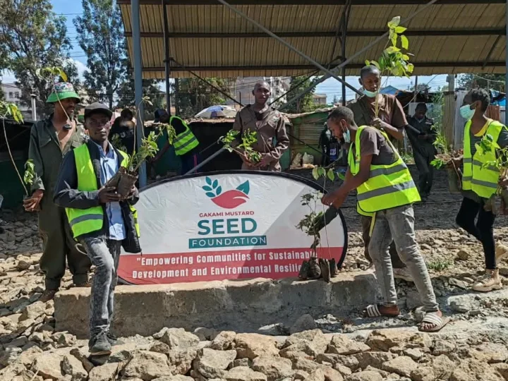 Tree Planting and Cleanup at Ruaka – Photo 1