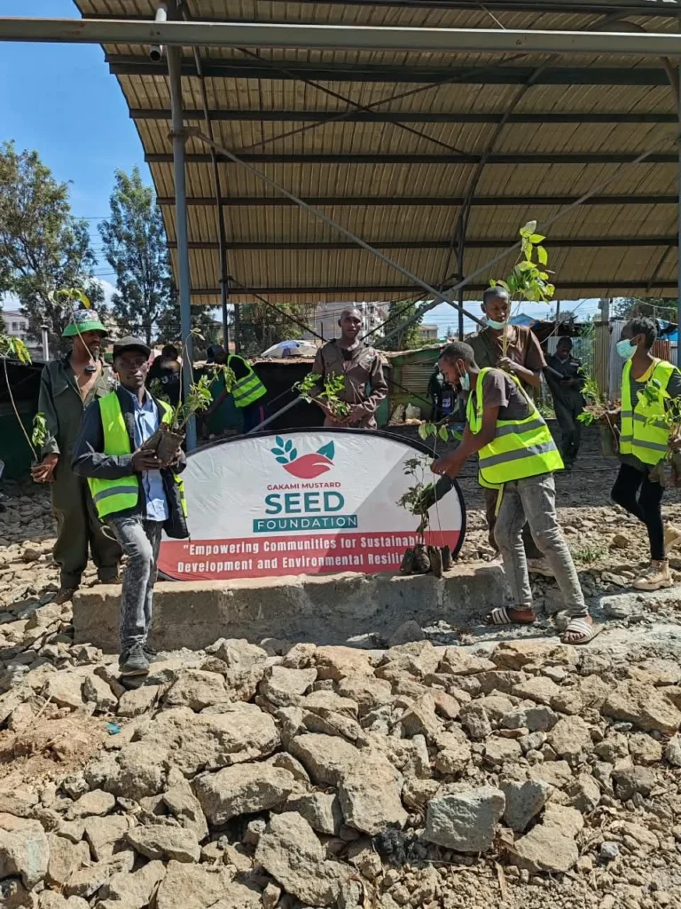 Tree Planting and Cleanup at Ruaka – Photo 1