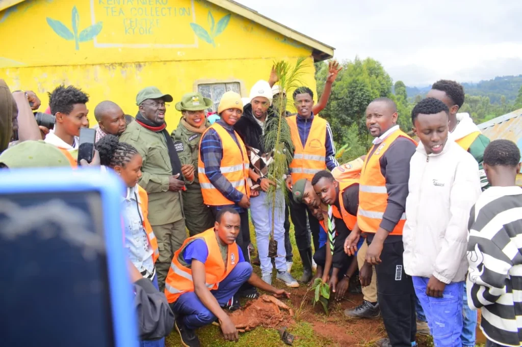 10,000 TREES PLANTED THIS MAZINGIRA DAY! – Photo 15