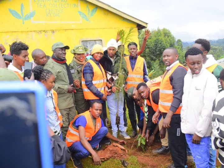 10,000 TREES PLANTED THIS MAZINGIRA DAY! – Photo 15
