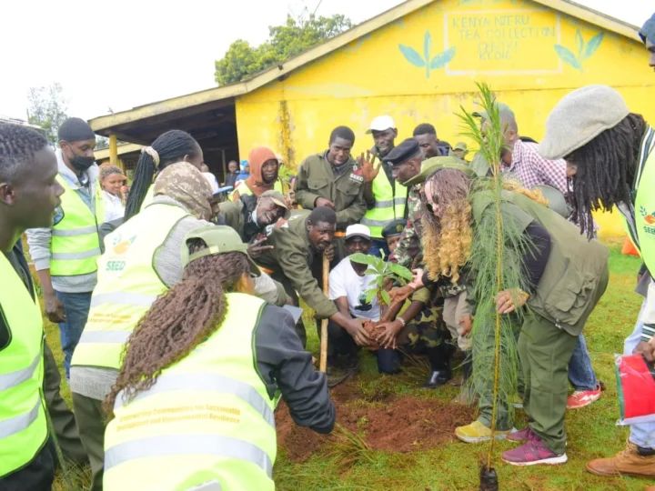10,000 TREES PLANTED THIS MAZINGIRA DAY! – Photo 14