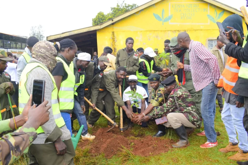 10,000 TREES PLANTED THIS MAZINGIRA DAY! – Photo 12