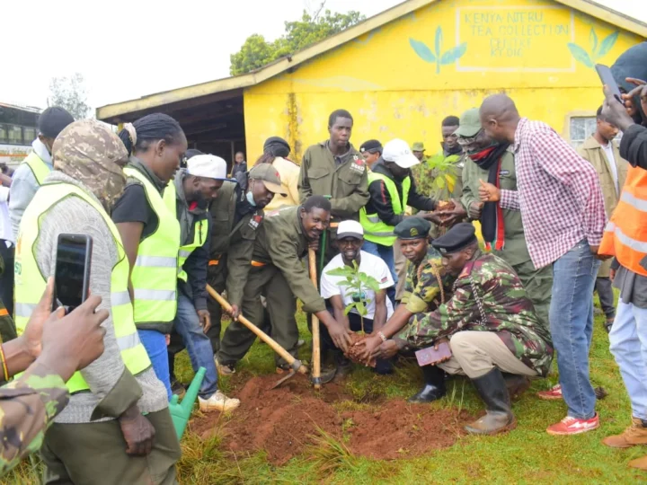 10,000 TREES PLANTED THIS MAZINGIRA DAY! – Photo 12