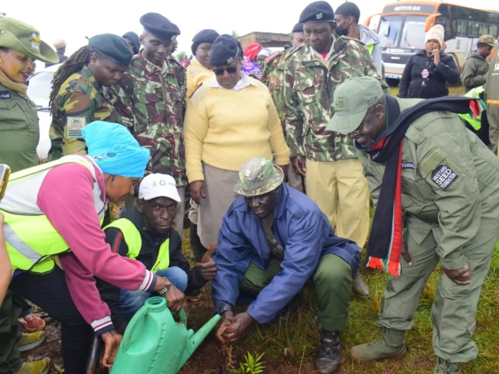 10,000 TREES PLANTED THIS MAZINGIRA DAY! – Photo 10