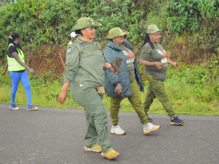 10,000 TREES PLANTED THIS MAZINGIRA DAY! – Photo 8
