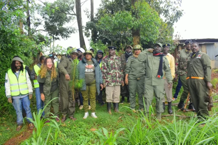 10,000 TREES PLANTED THIS MAZINGIRA DAY!