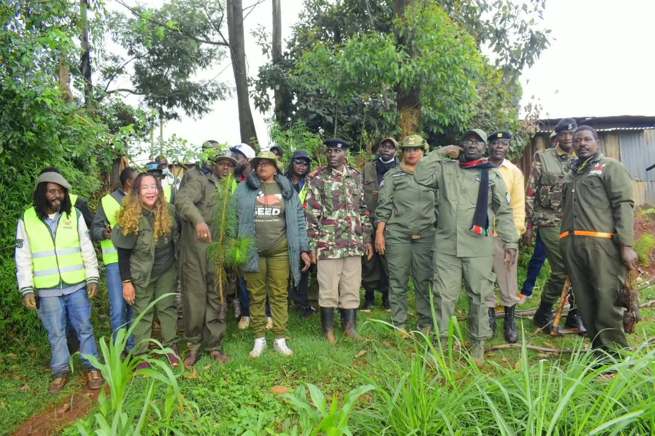 10,000 TREES PLANTED THIS MAZINGIRA DAY!