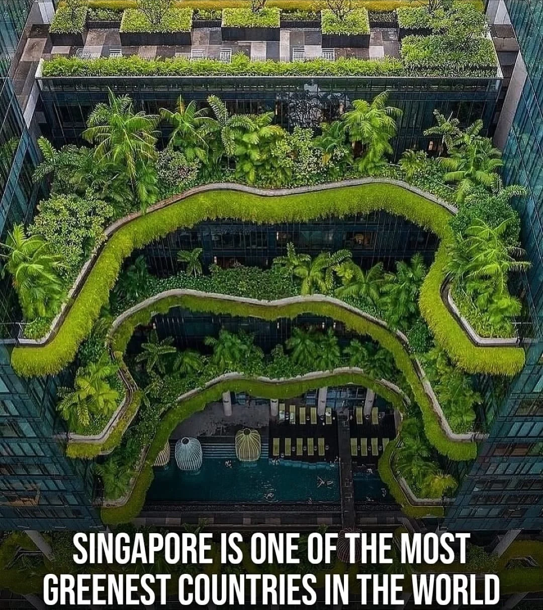 Did You Know?